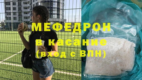 индика Абаза