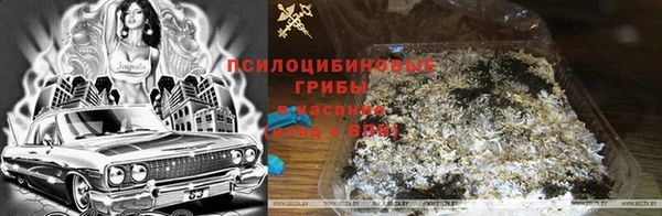трава Протвино