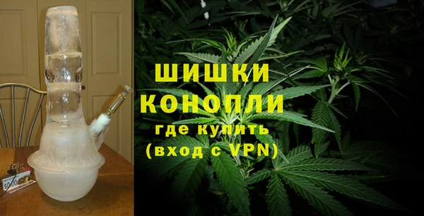 индика Абаза