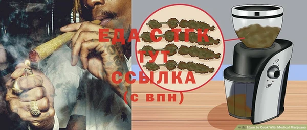индика Абаза