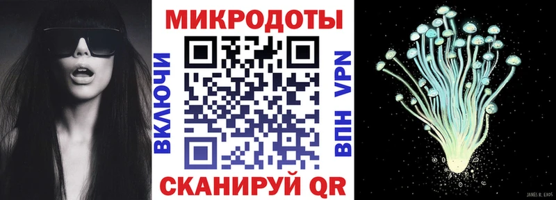 Псилоцибиновые грибы прущие грибы  Богданович 
